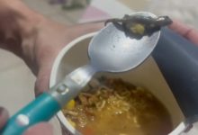 Ao preparar um macarrão instantâneo, mulher leva susto ao encontrar uma lagartixa dentro da embalagem