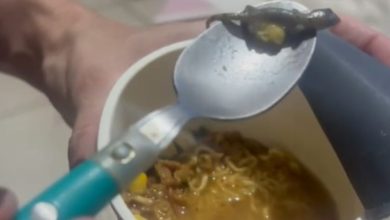 Ao preparar um macarrão instantâneo, mulher leva susto ao encontrar uma lagartixa dentro da embalagem