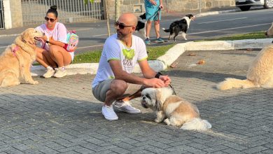 Tradicional Cãominhada de Indaial terá novo local e promete reunir famílias e pets no Junho Verde