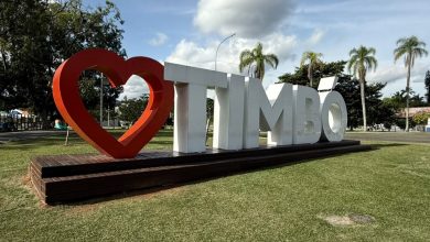 Em novo espaço no Parque Central, Copa na Praça prepara mais uma noite de emoção para torcer pelo Brasil