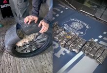 Durante fiscalização em Blumenau, PRF apreende 350 ampolas emagrecedoras proibidas escondidas em pneu
