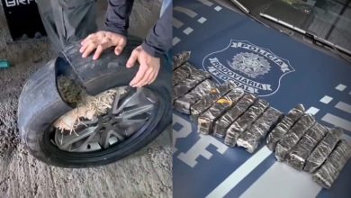 Durante fiscalização em Blumenau, PRF apreende 350 ampolas emagrecedoras proibidas escondidas em pneu