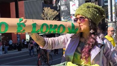 Marcha da Maconha toma a Avenida Paulista e reúne manifestantes em debate por mudanças na lei