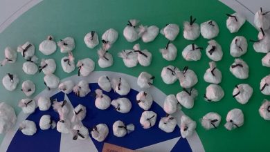 Tentativa de fuga termina com apreensão de 63 buchas de cocaína e prisão em Timbó