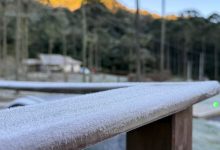 O frio apertou: SC tem manhã congelante nesta quarta com geada em várias regiões; confira os próximos dias