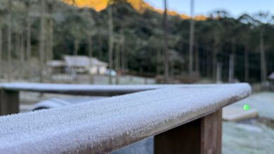 O frio apertou: SC tem manhã congelante nesta quarta com geada em várias regiões; confira os próximos dias