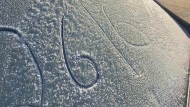 Serra Catarinense enfrenta terceiro dia seguido de temperaturas negativas com paisagem de inverno em Urubici