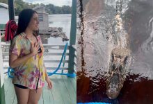 “Melhor não entrar”: jacaré-açu aparece no Rio Negro e interrompe ideia de banho em vídeo divertido
