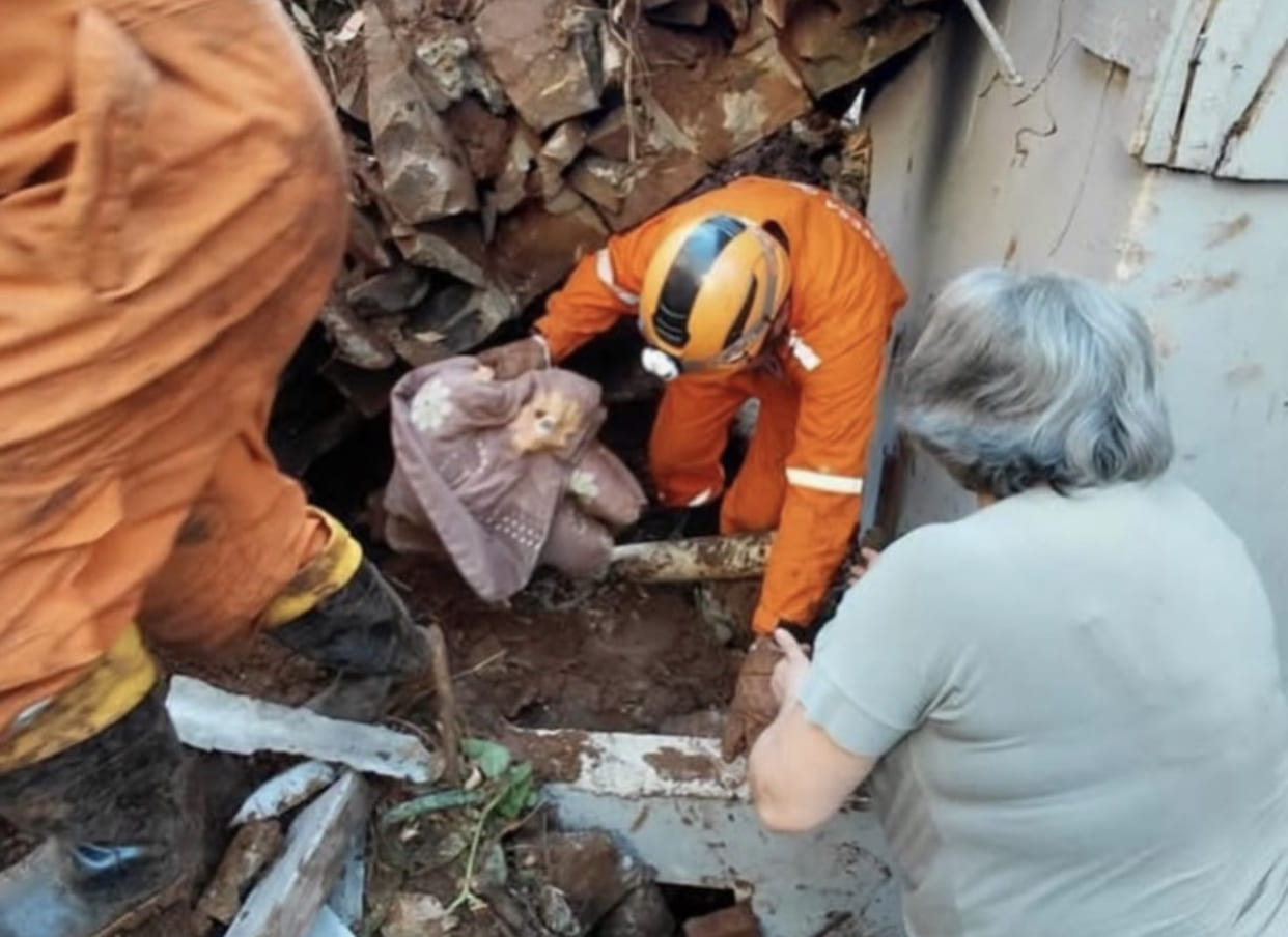 Cachorro é encontrado vivo em SC após mais de 20 horas soterrado