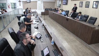 Blumenau aprova apoio a protetores de animais e reconhece tradição do Chope em Metro