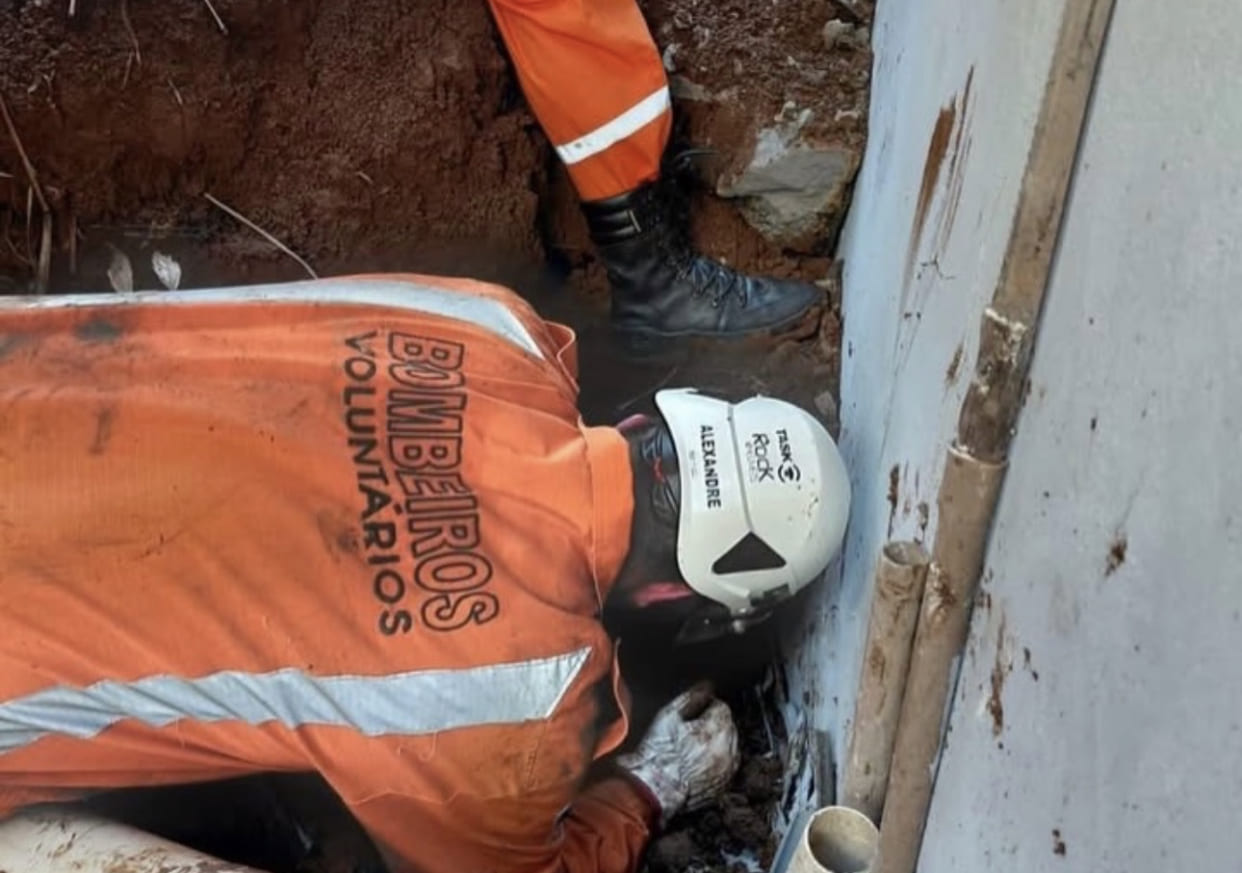 Cachorro é encontrado vivo em SC após mais de 20 horas soterrado