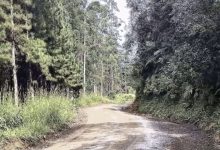 Pavimentação entre Alto Palmeiras e Alto Cedros avança e promete melhorar acesso à região serrana de Rio dos Cedros