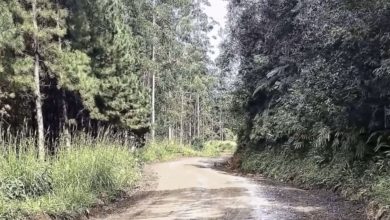 Pavimentação entre Alto Palmeiras e Alto Cedros avança e promete melhorar acesso à região serrana de Rio dos Cedros