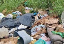 Câmara aprova projeto com multas e recompensa para combater descarte irregular de lixo em Blumenau