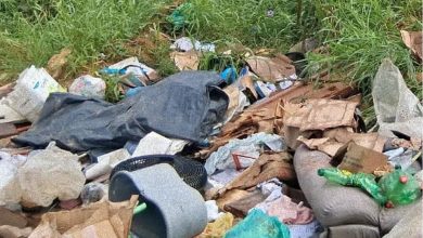 Câmara aprova projeto com multas e recompensa para combater descarte irregular de lixo em Blumenau