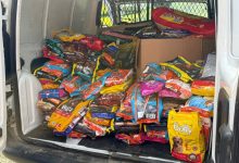 Mais de meia tonelada de ração arrecadada pelo Alles Park reforça alimentação de 1,3 mil animais resgatados