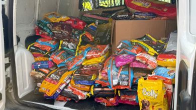 Mais de meia tonelada de ração arrecadada pelo Alles Park reforça alimentação de 1,3 mil animais resgatados