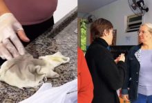 Sindicato denuncia falta de profissionais de limpeza em escolas e CEIs de Blumenau