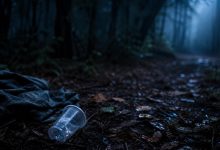 Homem é estuprado em área de mata após ser convidado para beber em SC
