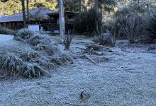 Alerta amarelo: frio intenso avança sobre Santa Catarina com previsão de temperaturas abaixo de zero