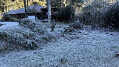 Alerta amarelo: frio intenso avança sobre Santa Catarina com previsão de temperaturas abaixo de zero