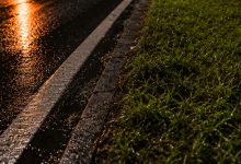 Mulher é encontrada morta às margens de rodovia em SC; polícia apura feminicídio