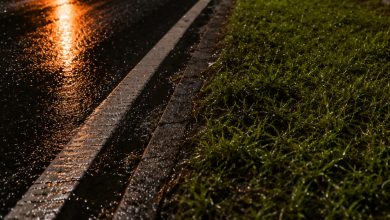Mulher é encontrada morta às margens de rodovia em SC; polícia apura feminicídio