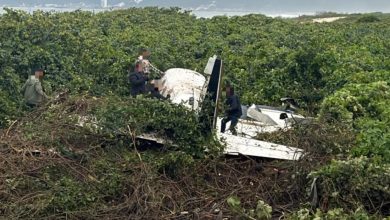 Vídeo registra queda de avião que deixou dois feridos em SC