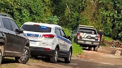 Homem de 18 anos é encontrado morto com golpes de faca em área de mata de SC