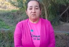 "Aqui tem lei", diz cacique ao afirmar que Jorginho entrou em território indígena sem autorização em SC