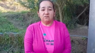 "Aqui tem lei", diz cacique ao afirmar que Jorginho entrou em território indígena sem autorização em SC