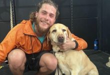 Motorista recusa passageiro com cão-guia em SC e Uber recebe multa de R$ 384 mil