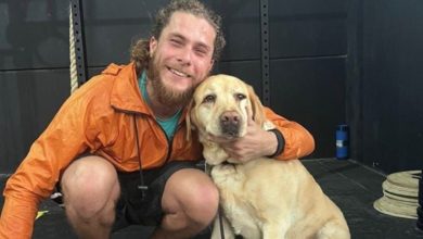 Motorista recusa passageiro com cão-guia em SC e Uber recebe multa de R$ 384 mil