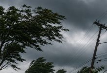 Defesa Civil alerta para rajadas de vento que podem superar 80 km/h em Santa Catarina