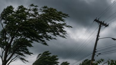 Defesa Civil alerta para rajadas de vento que podem superar 80 km/h em Santa Catarina
