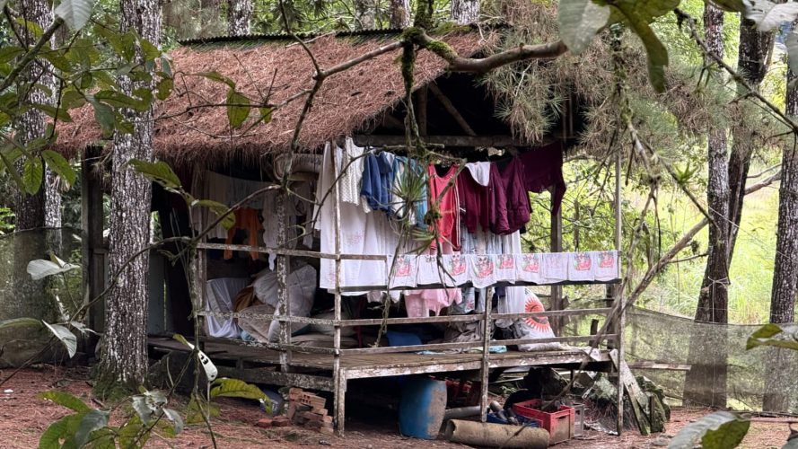 Após ver a casa desabar, família de Indaial luta para recomeçar do zero
