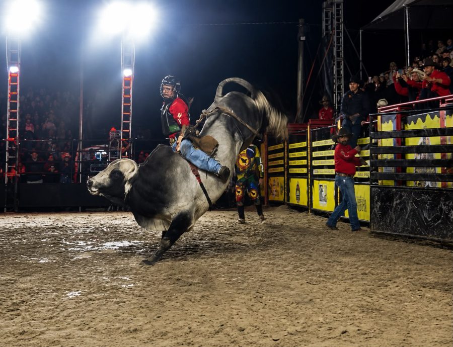 Timbó vai receber a 1ª Festa do Colono com Rodeio Country e entrada será gratuita