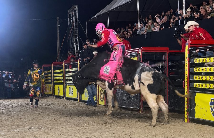 Timbó vai receber a 1ª Festa do Colono com Rodeio Country e entrada será gratuita