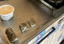 Polícia encontra drogas ao lado de alimentos de crianças e prende mulher em Ascurra