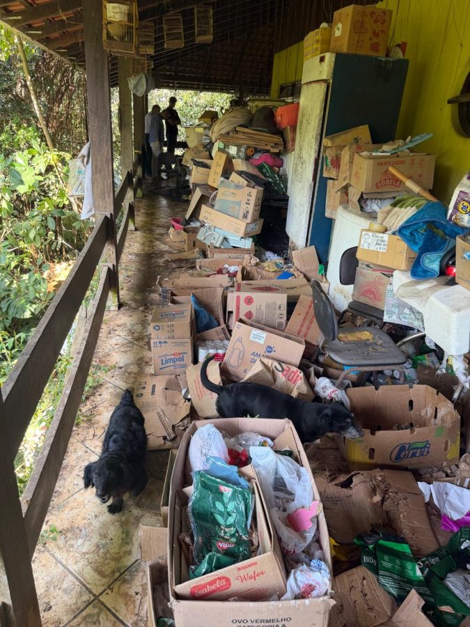 Maus-tratos e cativeiro ilegal: homem é preso após polícia resgatar cinco cães e 31 aves em Blumenau