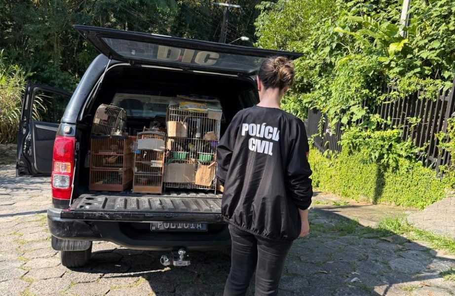 Maus-tratos e cativeiro ilegal: homem é preso após polícia resgatar cinco cães e 31 aves em Blumenau