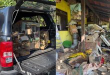 Maus-tratos e cativeiro ilegal: homem é preso após polícia resgatar cinco cães e 31 aves em Blumenau