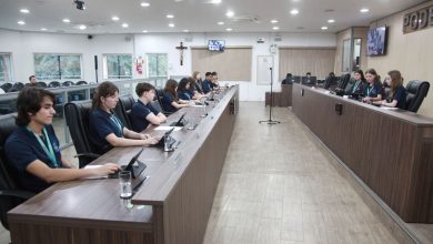 Câmara Mirim de Blumenau debate segurança, saúde e aprova programa para primeira infância