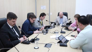 Câmara de Blumenau aprova seis propostas e avança com projetos sobre medicamentos, animais e educação