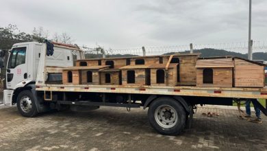 Presídio vira fábrica de abrigos: apenados produzem mais de 20 casinhas para animais em Blumenau