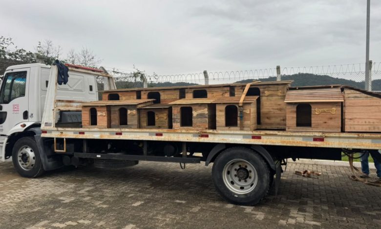 Presídio vira fábrica de abrigos: apenados produzem mais de 20 casinhas para animais em Blumenau