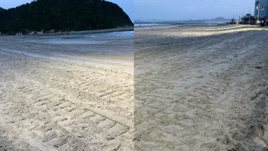 Praia do Gravatá passa por transformação histórica: faixa de areia deve chegar a 70 metros após obra de alargamento