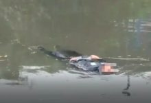 Homem boiando em rio impróprio para banho em SC mobiliza bombeiros após suspeita de afogamento
