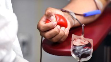 Doação de sangue fica mais fácil em SC após novas regras do Ministério da Saúde