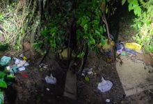 Homem é encontrado dormindo às margens do rio no Parque Henry Paul, em Timbó